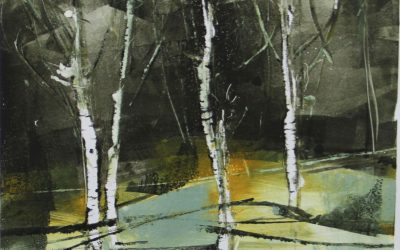 Winter Walks and Silver Birch